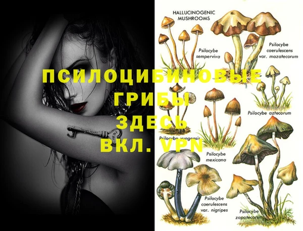 дживик Верея
