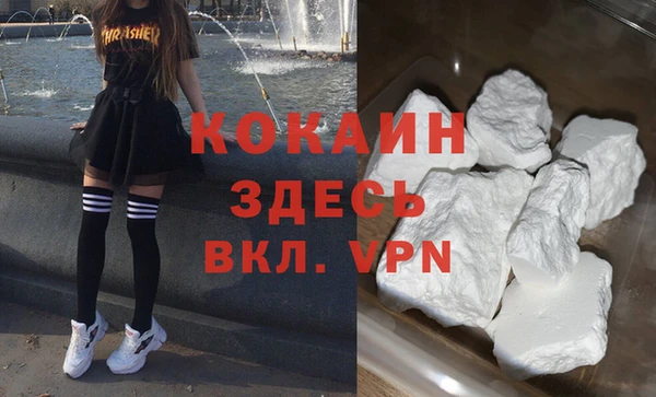 дживик Верея
